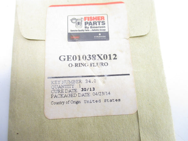 FISHER GE01038X012 NSFS