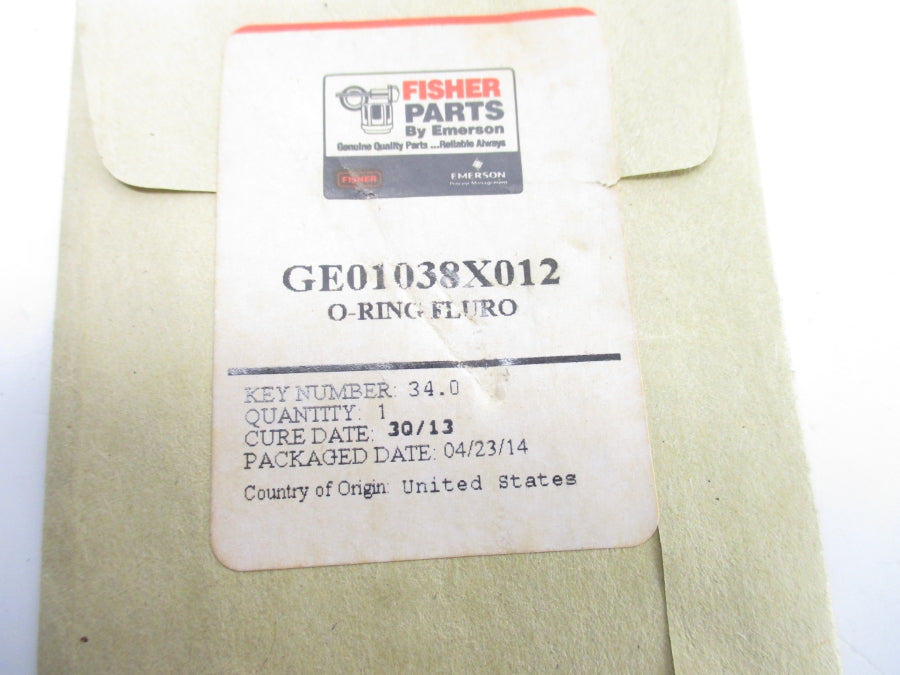 FISHER GE01038X012 NSFS