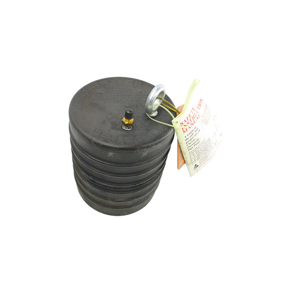 CHERNE INDUSTRIES 041-386 NSNP