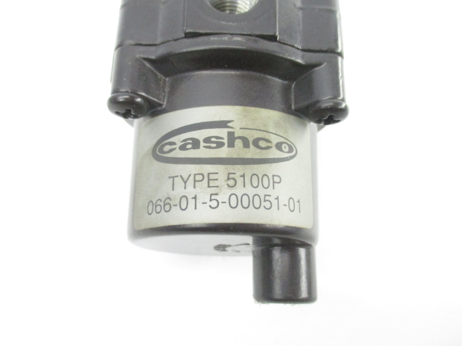 BELLOFRAM 5100P 066-01-5-00051-01 0-30PSI NSNP