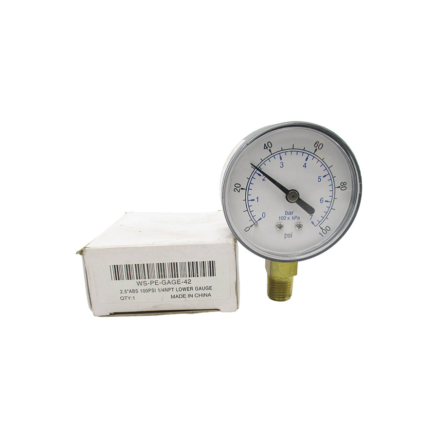WORKSMART WS-PE-GAGE-42 0-100PSI 2.5" NSMP