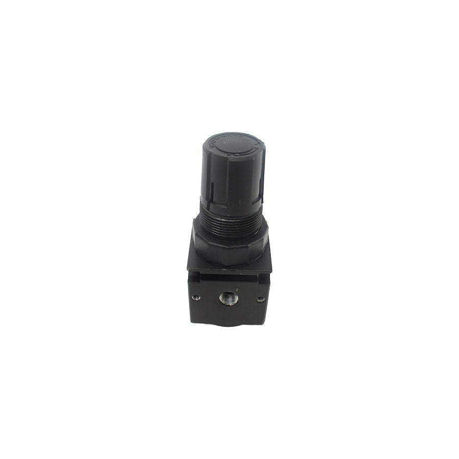 WATTS R35-01C 300PSI NSNP