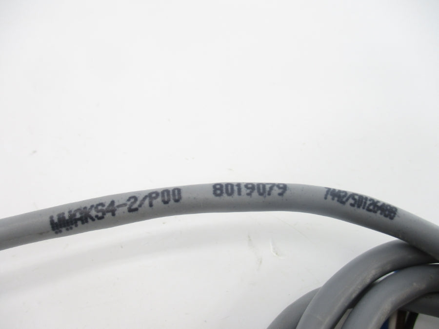 TURCK WWAKS4-2/P00 8019079 UNMP
