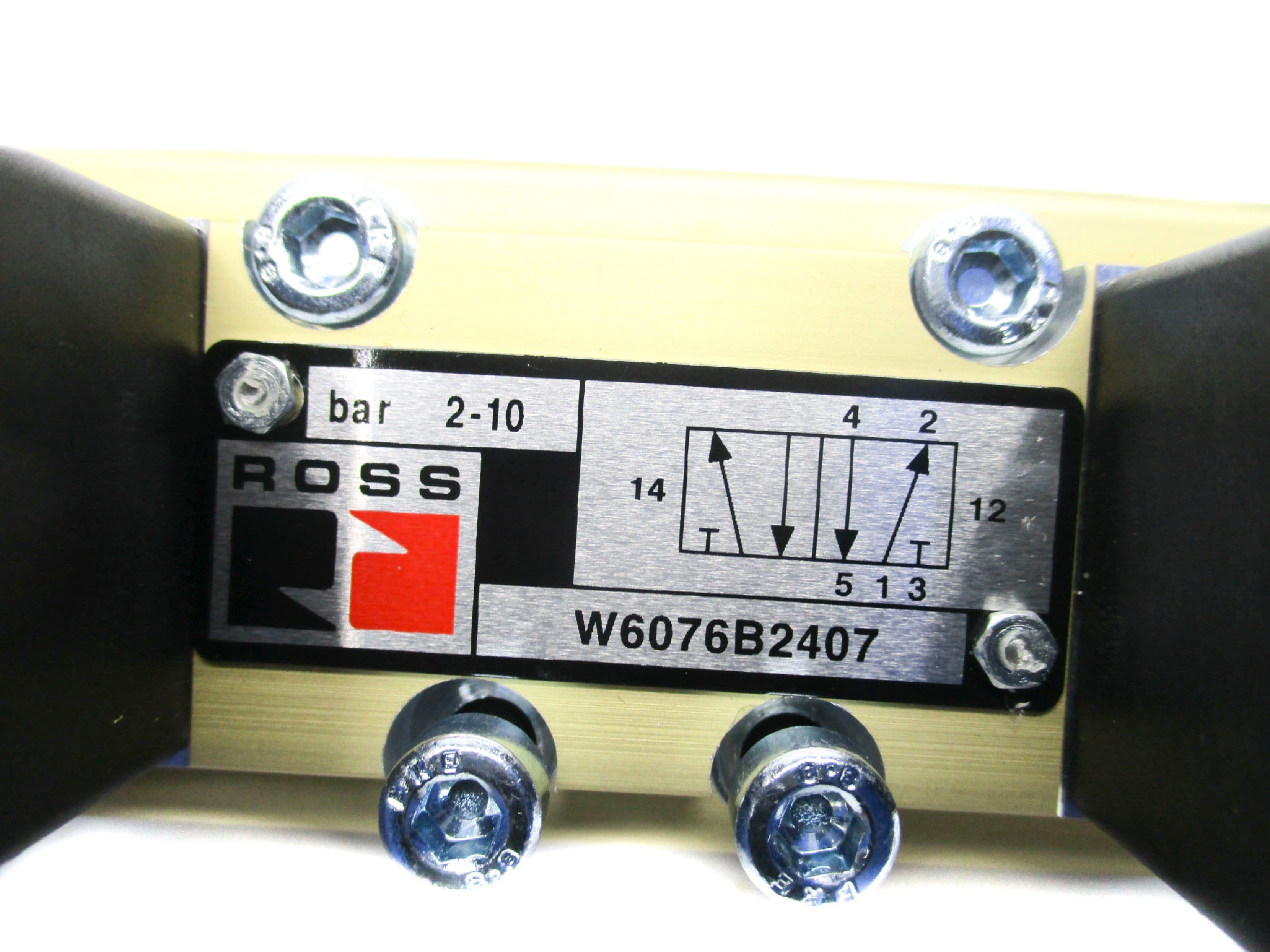 ROSS W6076B2407Z 100-120V NSMP