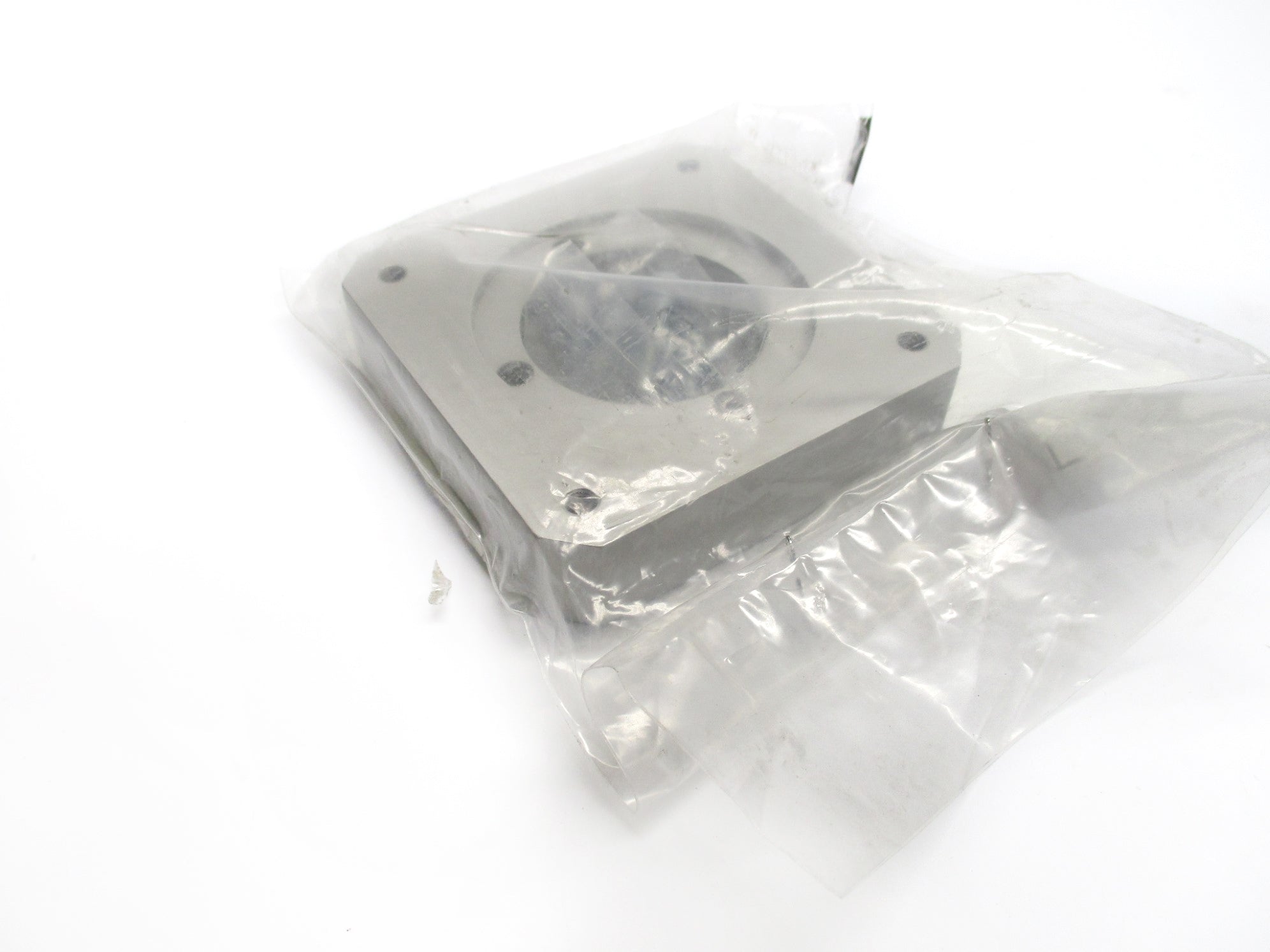 FESTO DGE-40-ZR-BSM80 NSMP