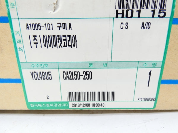 SMC CA2L50-250 NSMP