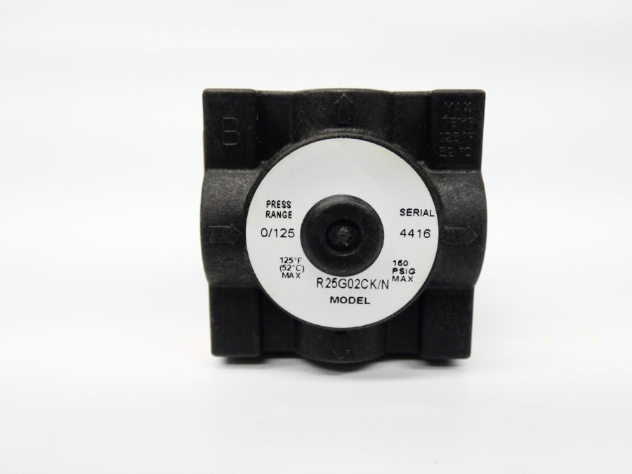 PARKER R25G02CK/N 0/125PSI 1/4" NSMP