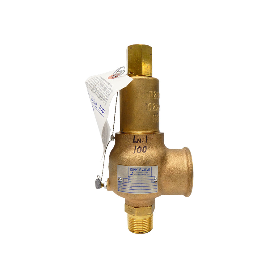 KNUCKLE VALVE 912BFFM01-JE 100PSI 1" NSNP