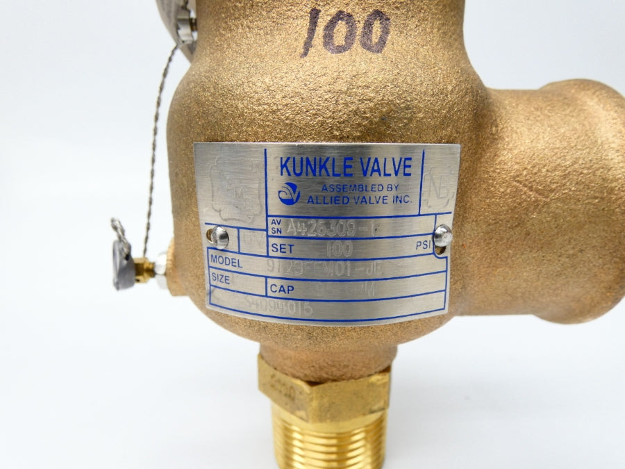 KNUCKLE VALVE 912BFFM01-JE 100PSI 1" NSNP