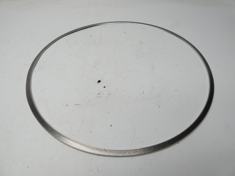 EMERSON FISHER RGASKETXF12 16" NSMP