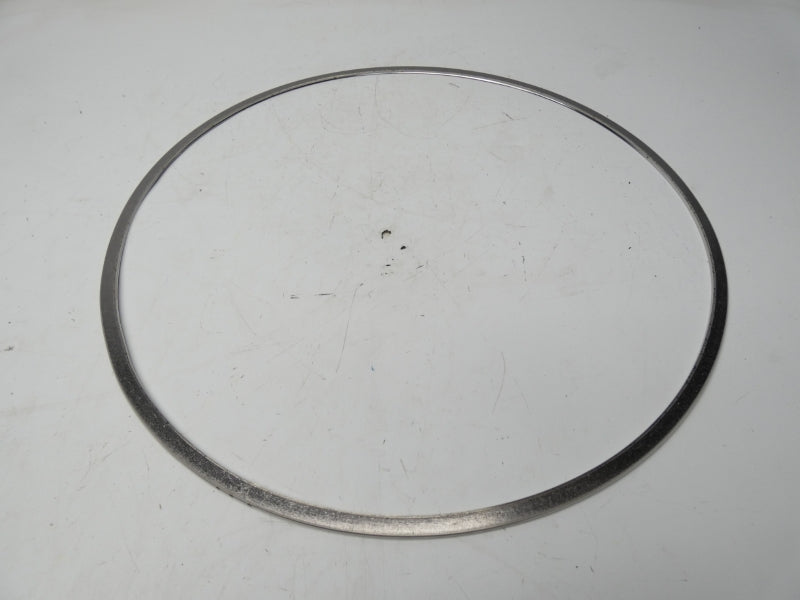 EMERSON FISHER RGASKETXF12 16" NSMP