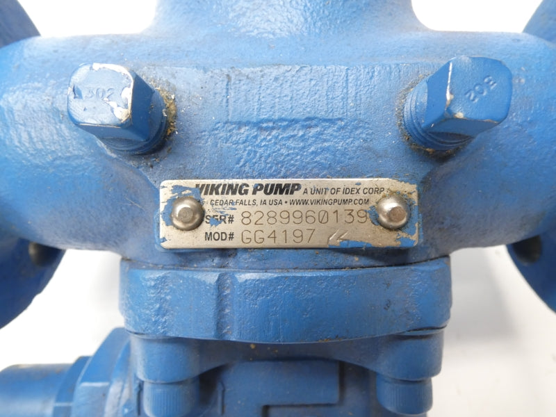 VIKING PUMP GG4197 1" NSNP