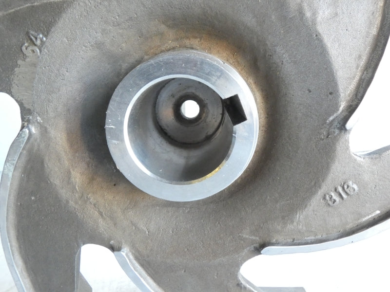 GOULDS PUMP 259-6-13 316SS6 3-1/4" 23" NSNP