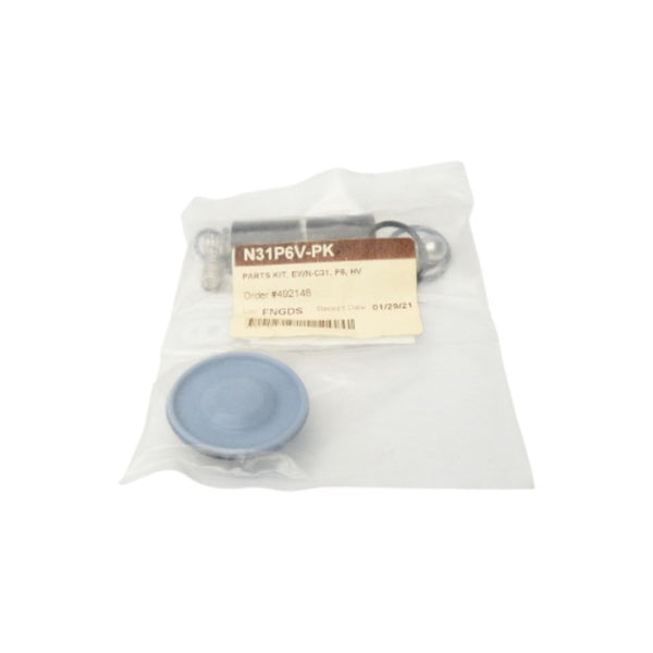 IWAKI N31P6V-PK NSMP