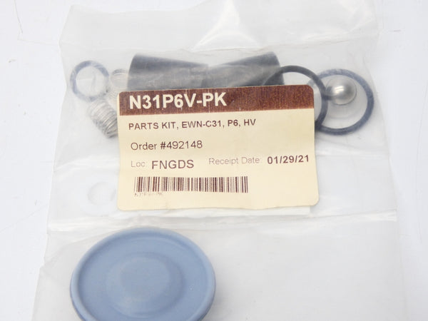 IWAKI N31P6V-PK NSMP
