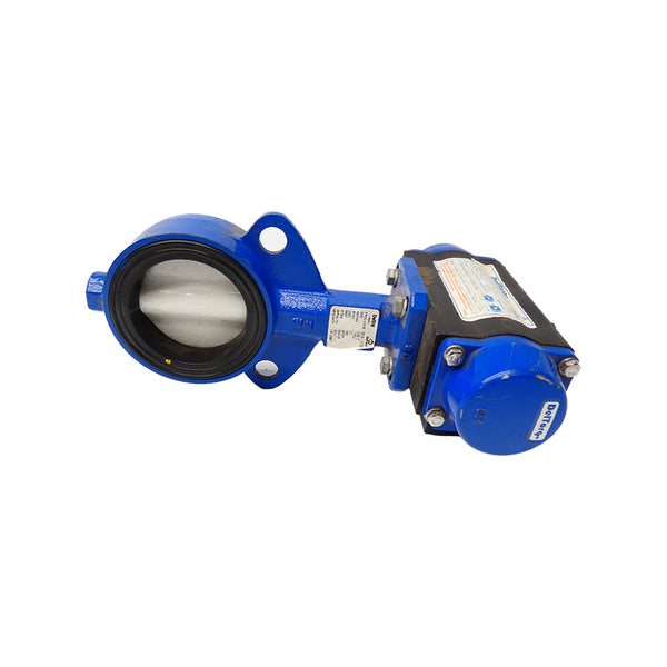 DELTECH 50030111E1B0 175PSI 3" NSNP