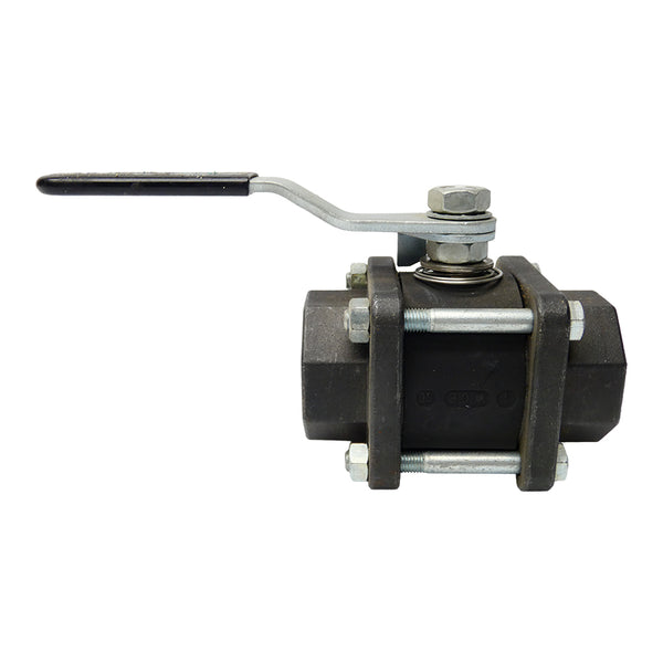 WATTS B/C-1111-BC 1-1/4" NSNP