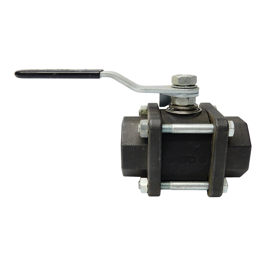 WATTS B/C-1111-BC 1-1/4" NSNP