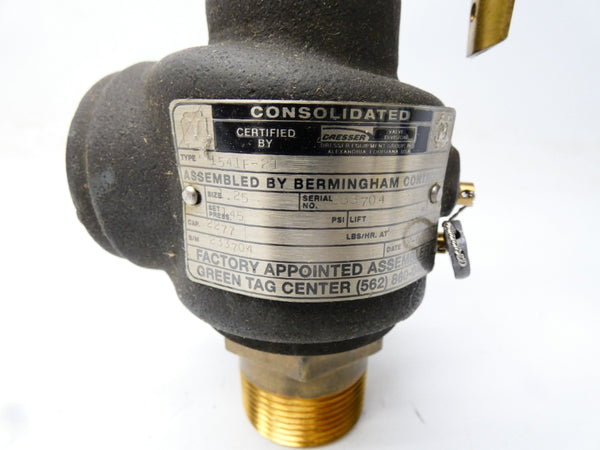 DRESSER 1541F-21 145PSI 1-1/4" NSMP