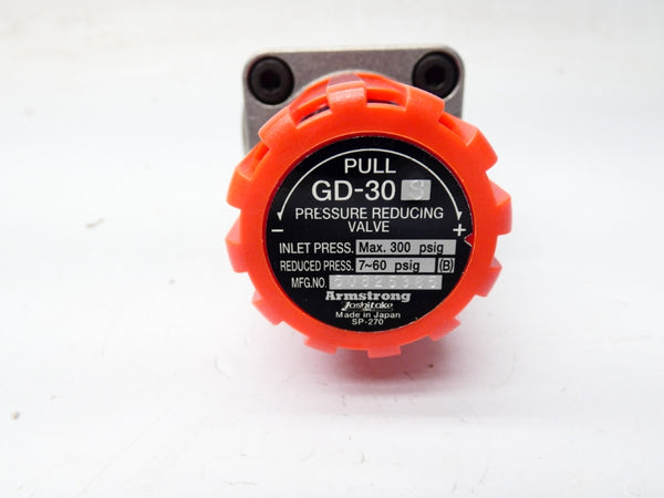 ARMSTRONG GD-30S D24573 7-60PSI 1" NSMP
