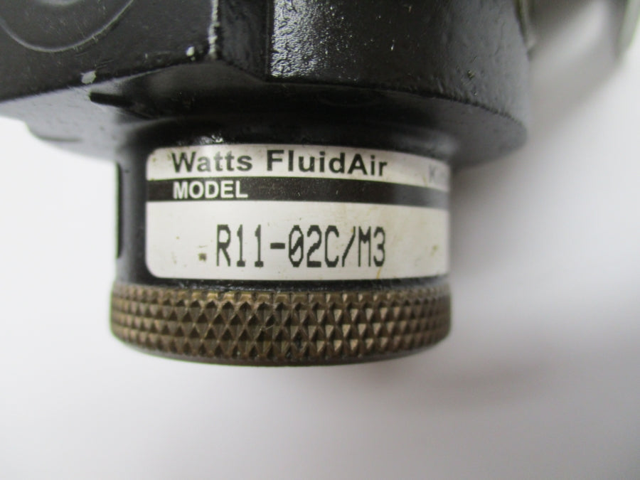 WATTS R11-02C/M3 300PSI (AS PICTURED) NSNP