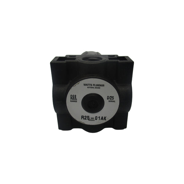 WATTS R25-01AK NSNP