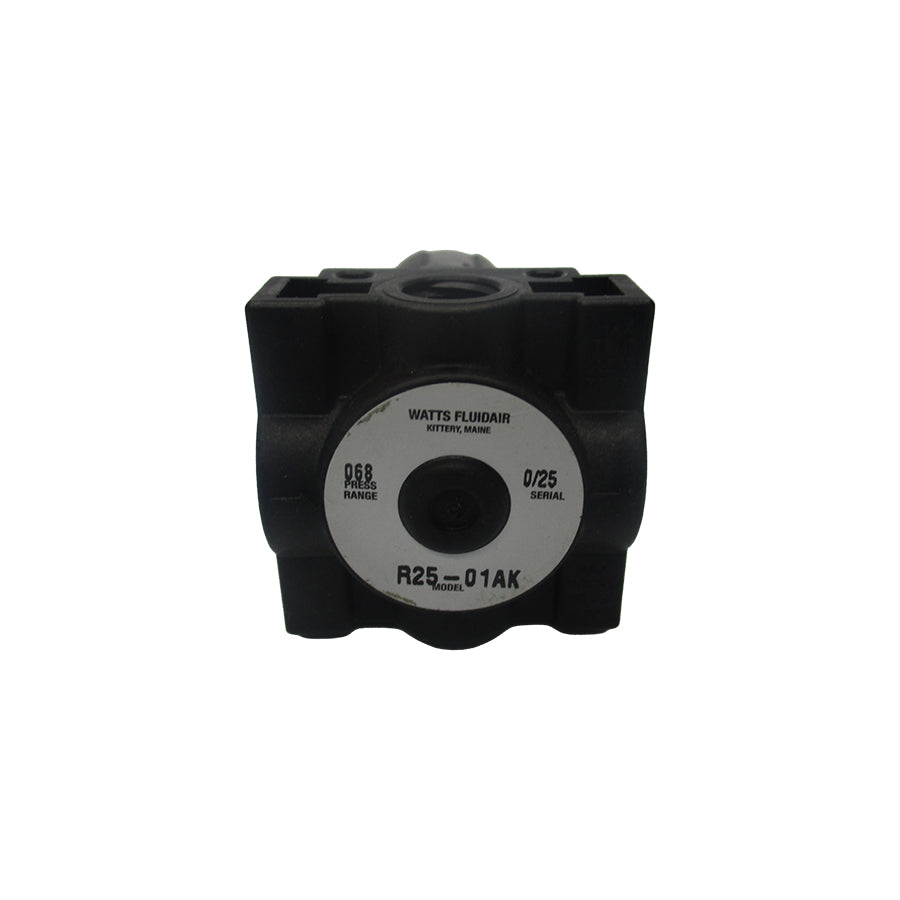 WATTS R25-01AK NSNP