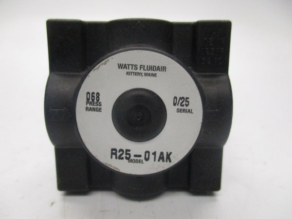 WATTS R25-01AK NSNP