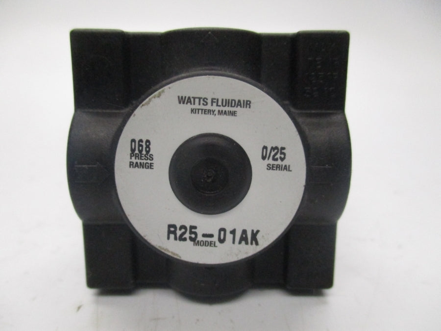 WATTS R25-01AK NSNP