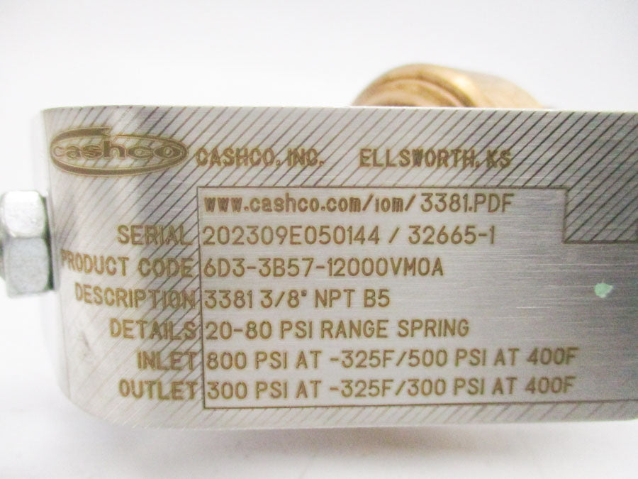 CASHCO 3381 3/8" 300PSI NSNP