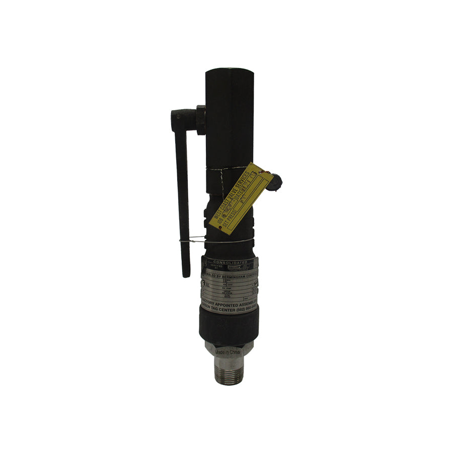 CONSOLIDATED 190906LCF-2-CC-MS-33-MT-FT-LA 100PSI 3/4" NSNP