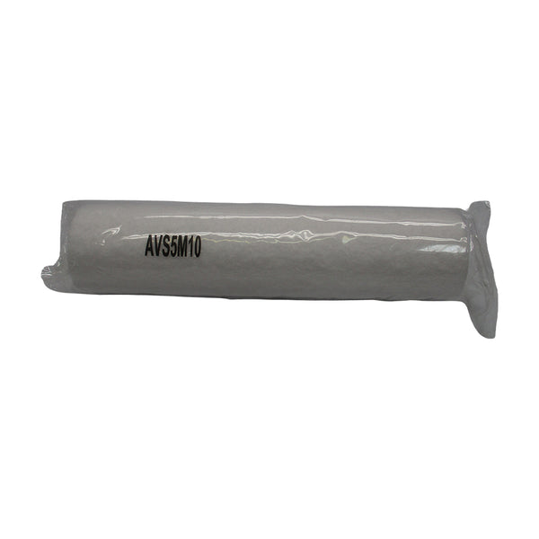 FILTER AVS5M10 NSMP
