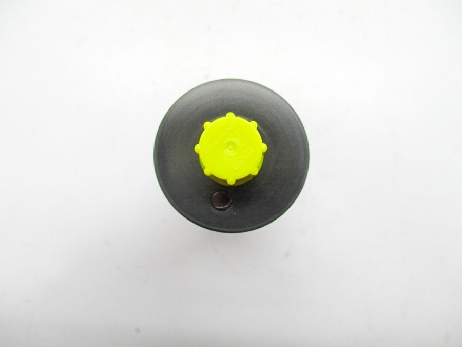 KOBOLD NWS-T4023S0060 24VDC 650PSI NSNP