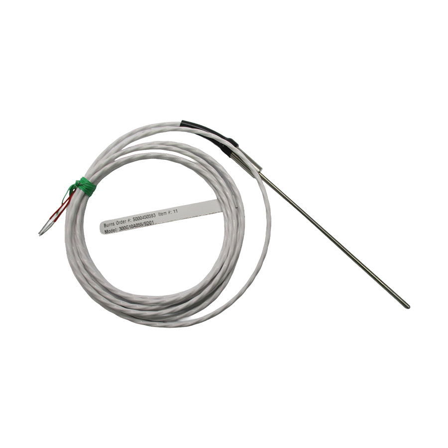 BURNS ENGINEERING 300G10A055/SD01 NSNP
