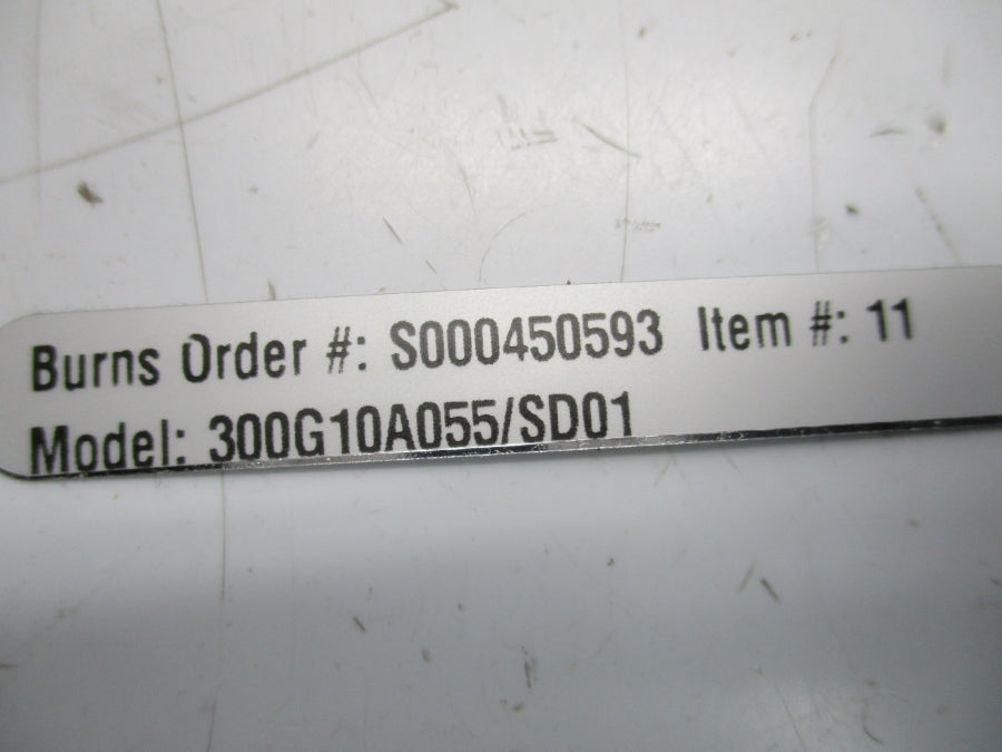 BURNS ENGINEERING 300G10A055/SD01 NSNP