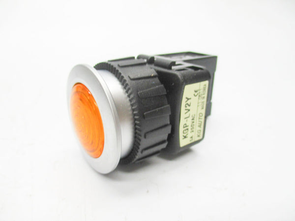 KG AUTO KGP-LV2Y 110/220VAC 5A NSMP