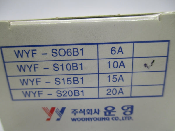 WYES WYF-S10B1 250V 10A NSMP