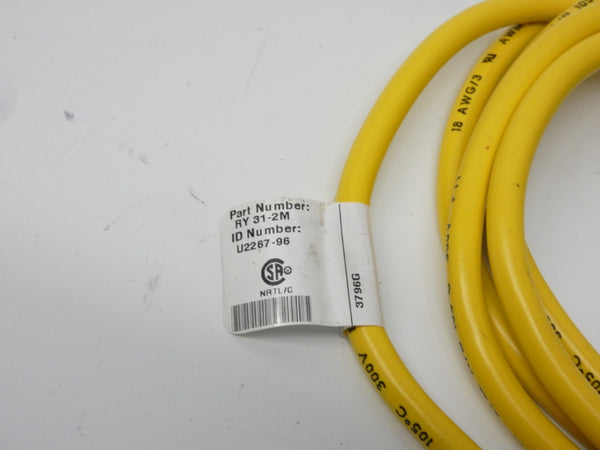 TURCK RY31-2M U2267-96 NSNP