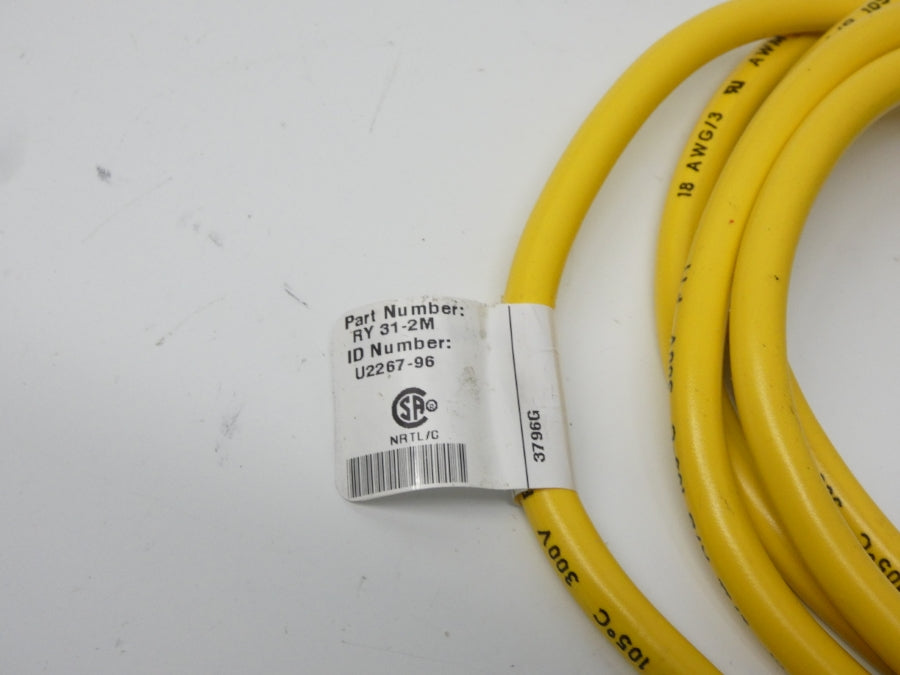 TURCK RY31-2M U2267-96 NSNP