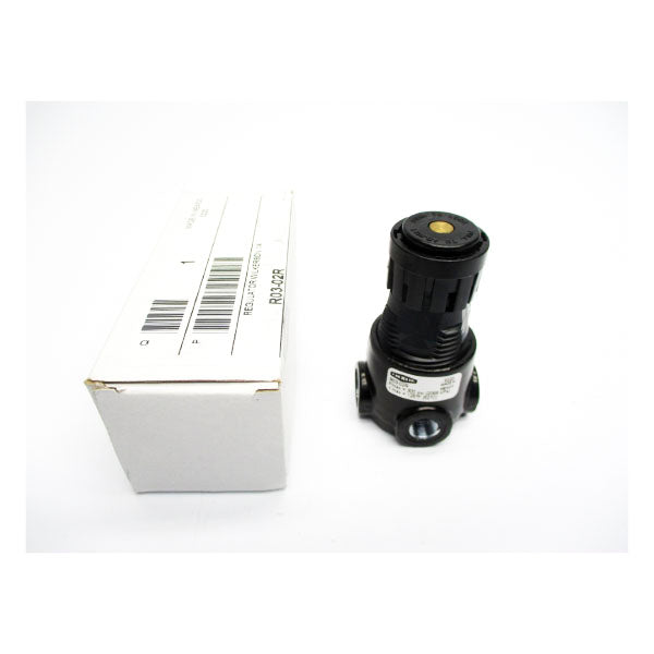 DIXON R03-02R 300PSI 1/4" NSMP