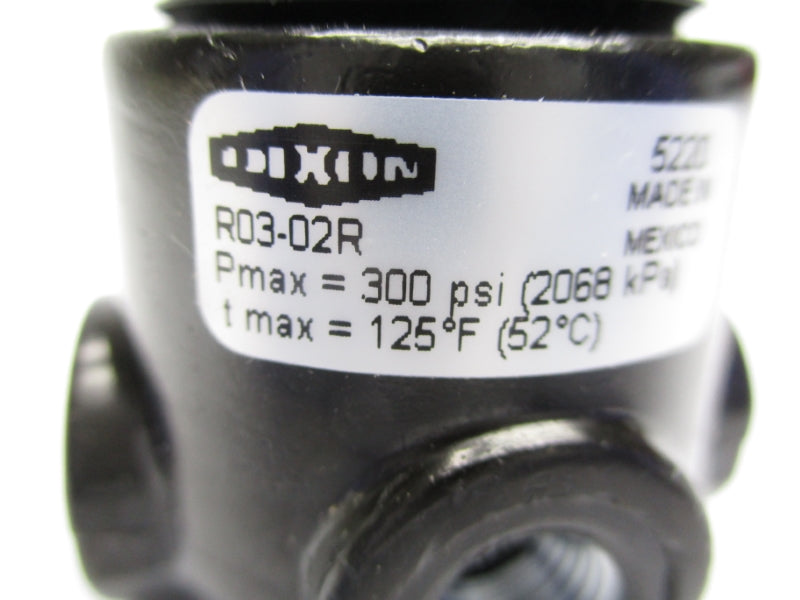 DIXON R03-02R 300PSI 1/4" NSMP