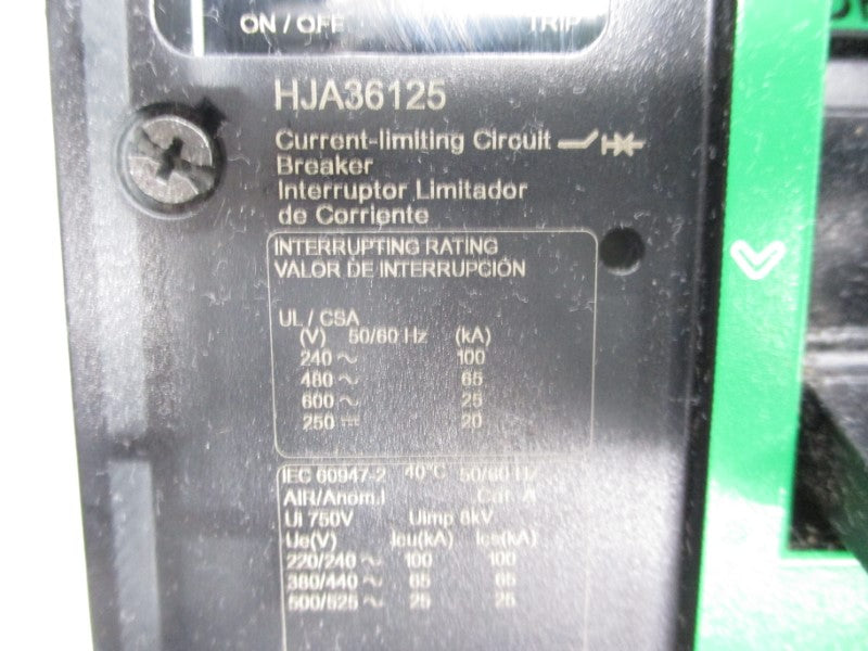 SQUARE D HJA36125 600V 125A (GREEN) NSNP