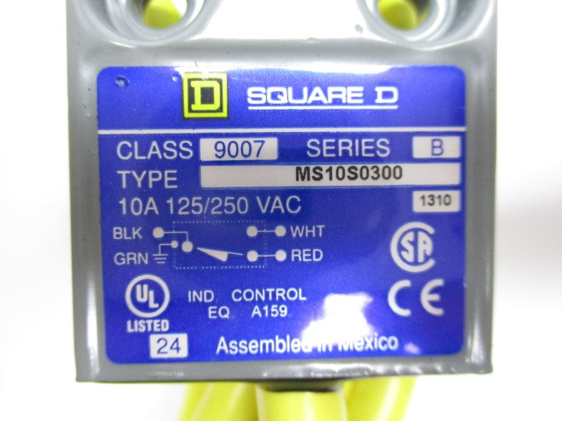 SQUARE D 9007MS10S0300 SER. B 125/250VAC 10A UNMP