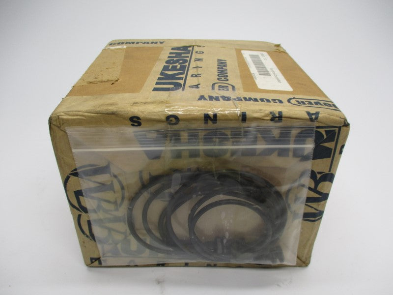 SUNDYNE BE09SP08A1 2280525 NSFS