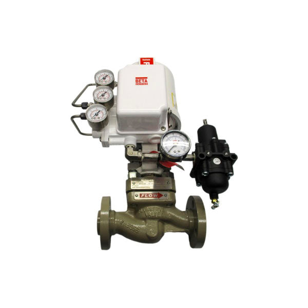 FLOWSERVE MARKONE 3-15PSI 1" NSNP