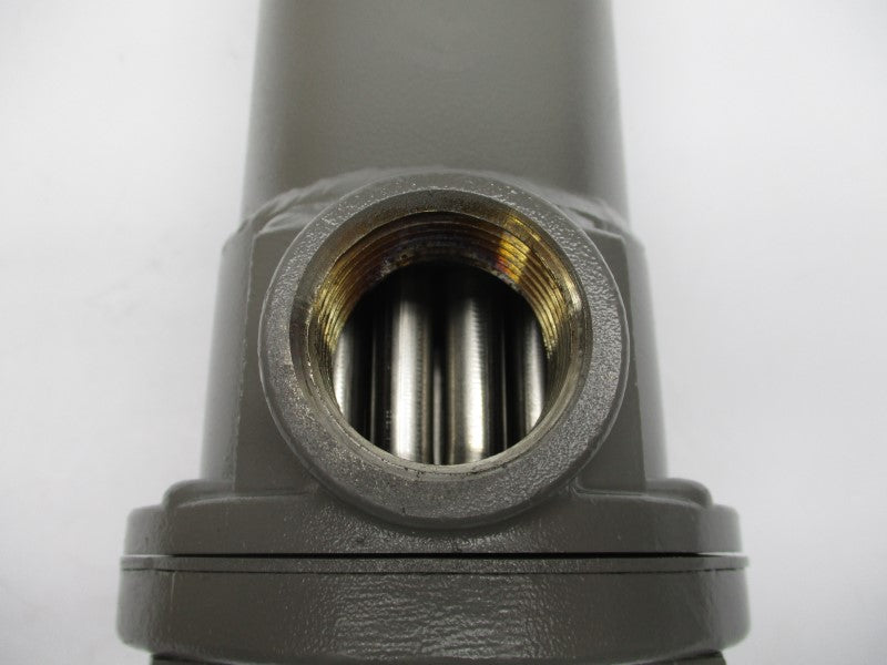 XYLEM SSCF 225PSI 1-1/4" NSMP