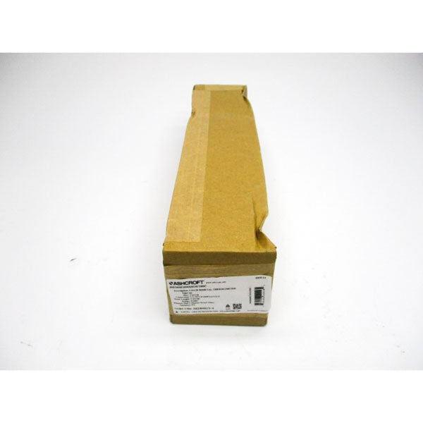 ASHCROFT 30EI60E090XSG0/200C 1/2" NSFS