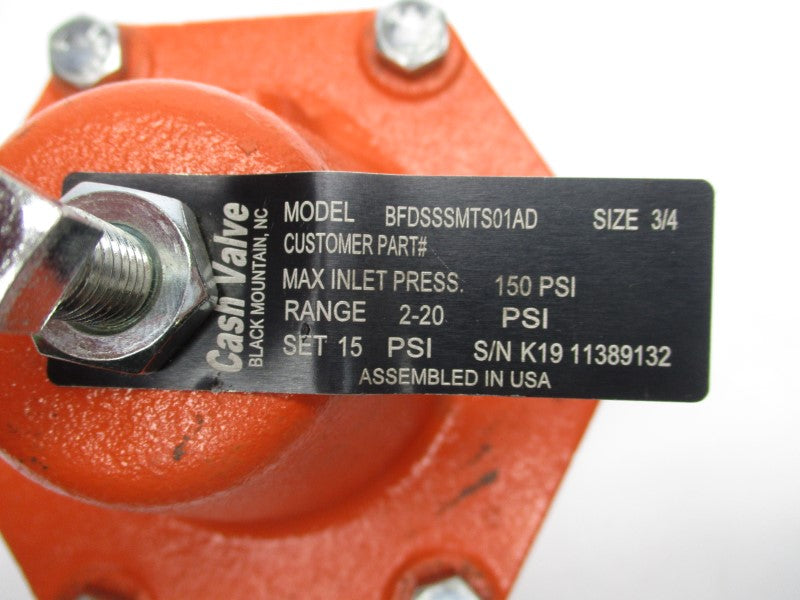 CASH VALVE BFDSSSMTS01AD 2-20PSI 3/4" NSMP