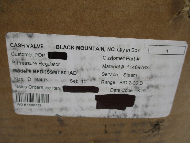 CASH VALVE BFDSSSMTS01AD 2-20PSI 3/4" NSMP