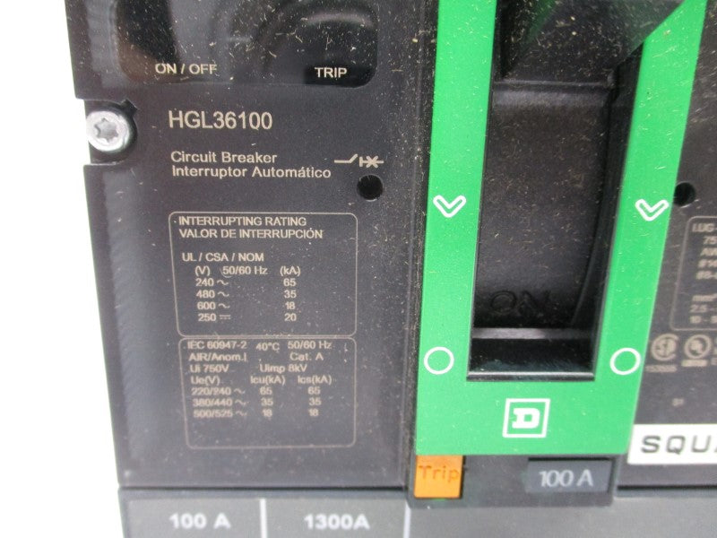 SQUARE D HGL36100 600V 100A (GREEN) NSMP